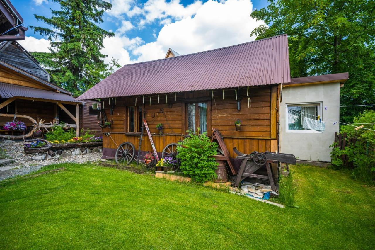 Апартаменты Pokoje Z Widokiem Na Gory I Prywatny Domek Z Zadaszona Altana - Grillem I Ogniskiem. Закопане Экстерьер фото